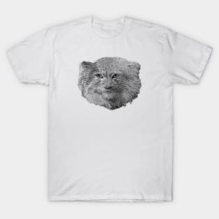 Manul-Pallas's cat T-Shirt